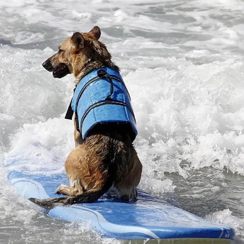 Anniepaw Shark Dog Life Vest: Summer Swimwear Jacket for Small, Medium, and Large Dogs