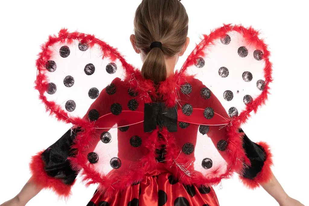 Cute Ladybug Costume for Role Play Cosplay- Child