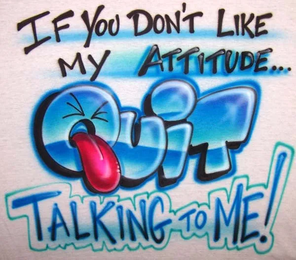 If You Don't Like My Attitude...Quit Talking To Me Humor T-Shirt or Sweatshirt