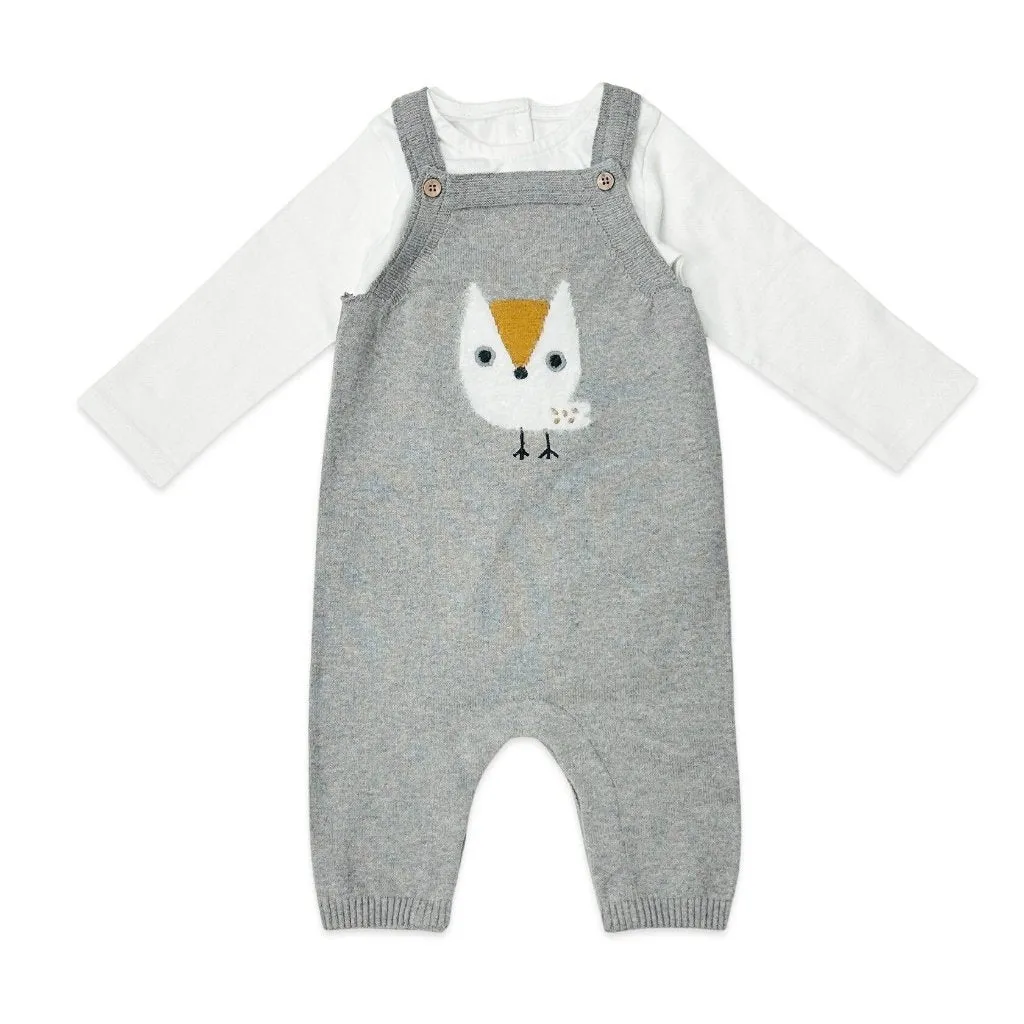 Owl Applique Knit Baby Overall & Bodysuit Set