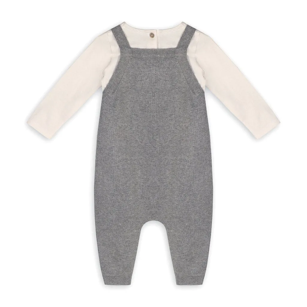 Owl Applique Knit Baby Overall & Bodysuit Set